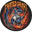PaintedOrNot logo