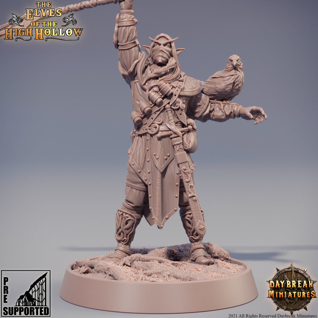 Wood Elf Ranger Polearm Master | Beast Master Ranger with Hawk | Miniature | 28mm Scale | 32mm Scale | 75mm Scale | Pathfinder Figure| DnD |