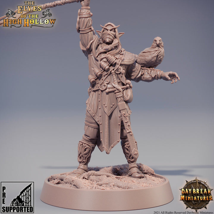 Wood Elf Ranger Polearm Master | Beast Master Ranger with Hawk | Miniature | 28mm Scale | 32mm Scale | 75mm Scale | Pathfinder Figure| DnD |