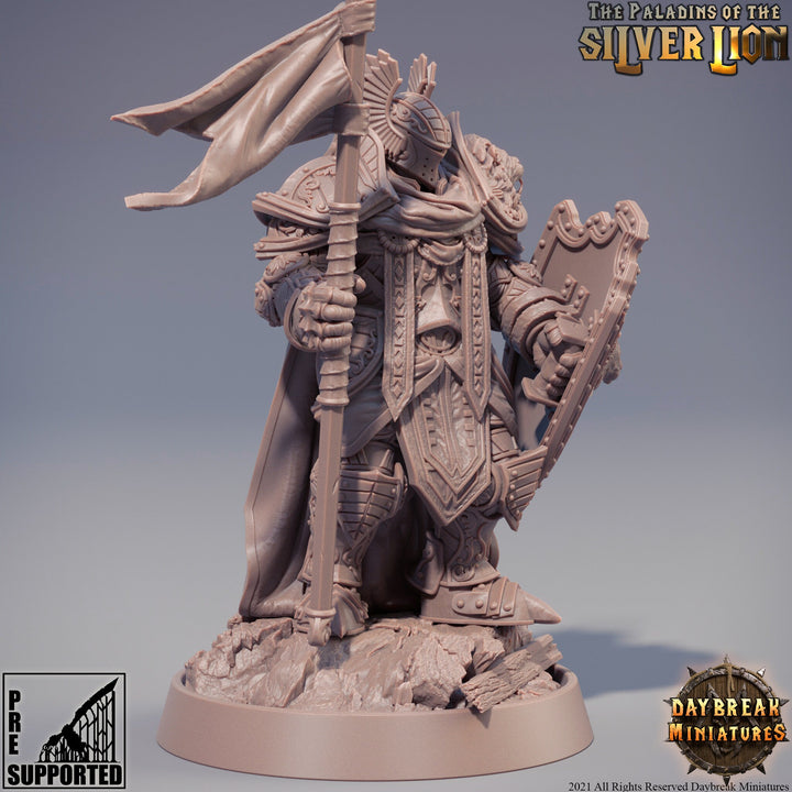 Paladin | Knight Templar | Miniature | Heavy Armor | Dungeons and Dragons | 28mm, 32mm, 75mm scales | Pathfinder | Figure for Painting|