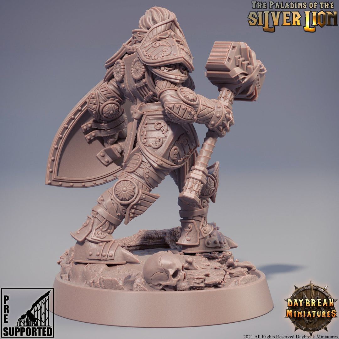 Paladin | Female Paladin | Miniature | Heavy Armor | Dungeons and Dragons | 28mm Scale | 32mm scale | Pathfinder | D&amp;D |