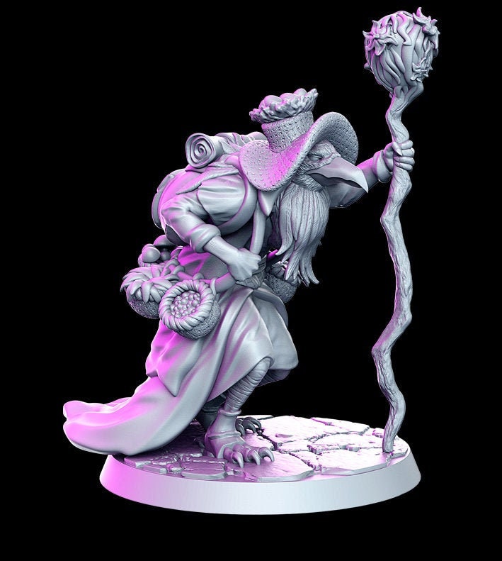 Kenku Druid Wizard Classic JRPG 28mm,32mm,75mm Scale Miniature Unpainted resin Figurine D&D Tabletop Fantasy Miniature Gaming