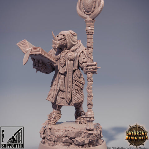 Dragonborn Wizard | PC or NPC model | 28mm, 32mm, 75mm Scale Resin Miniature | Dungeons and Dragons Miniatures | Pathfinder |