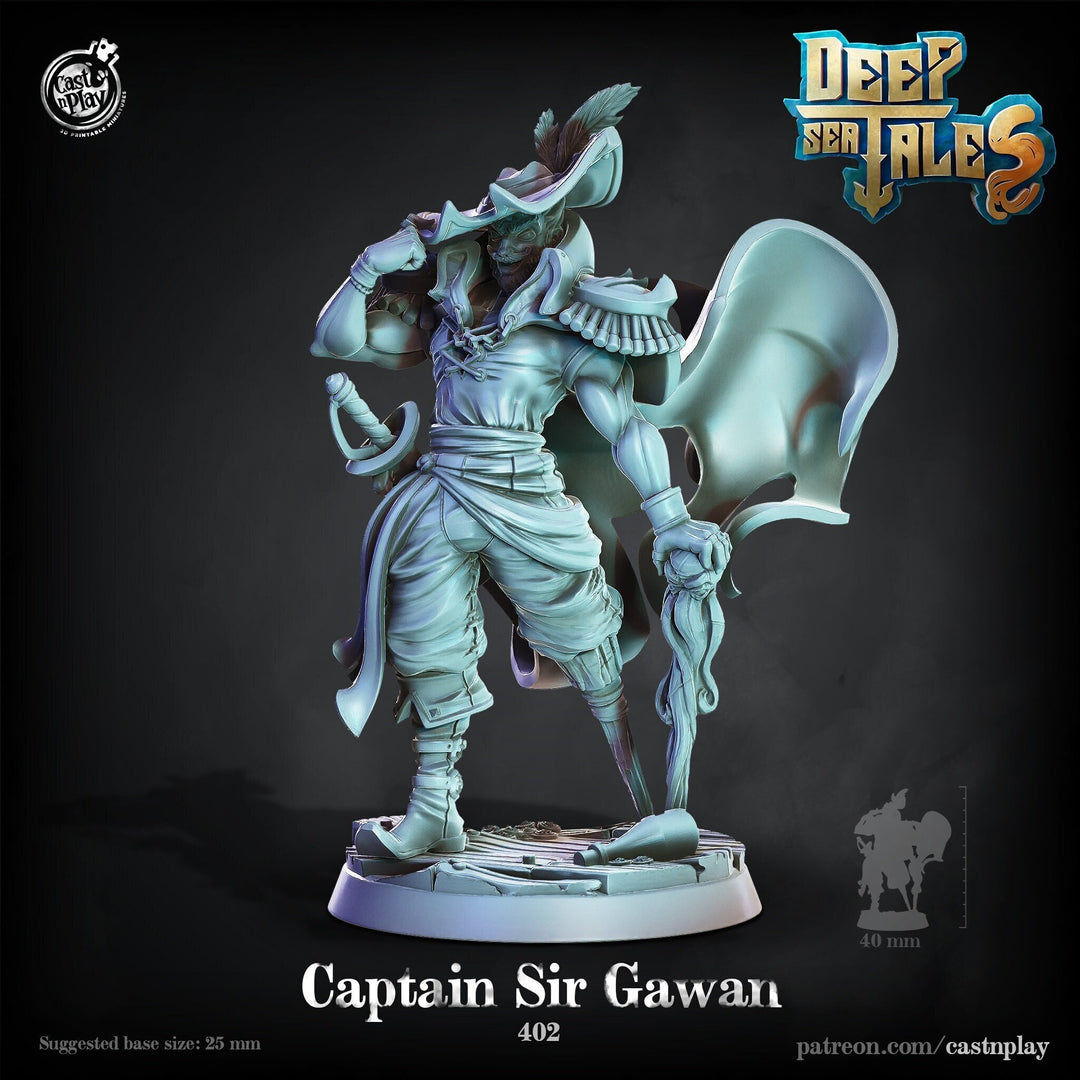 Swashbuckler Fighter Pirate Captain | 28mm, 32mm, 75mm Scale | Dungeons and Dragons 5e Miniatures | Pathfinder | Figurine | DnD Mini | Resin