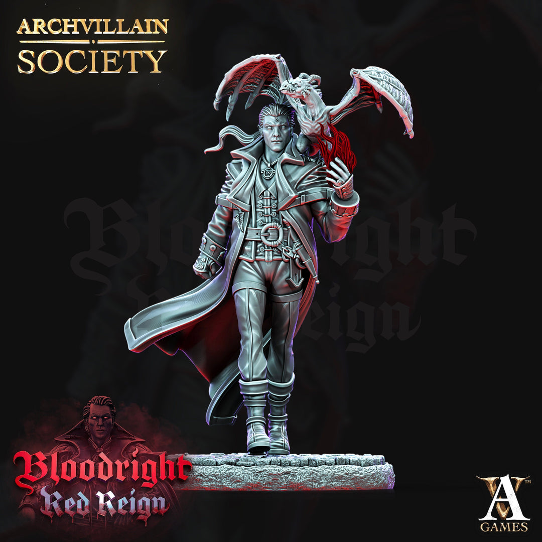 Human Male Sorcerer Warlock with pseudodragon Familiar |28mm,32mm,75mm Scales, 100mmTall| Dungeons and Dragons | Pathfinder | Battle Wizard