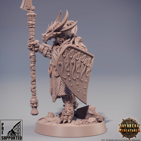 Dragonborn Fighter Spear and Shield | 28mm, 32mm, 75mm Scale Resin Miniature | Dungeons and Dragons Miniatures | Pathfinder |