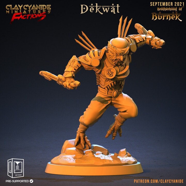Owlfolk Rogue Assassin arakocra | 28mm, 32mm,75mm Scales | Resin Mini | Dungeons and Dragons | Figure for painting |Pathfinder |Clay Cyanide