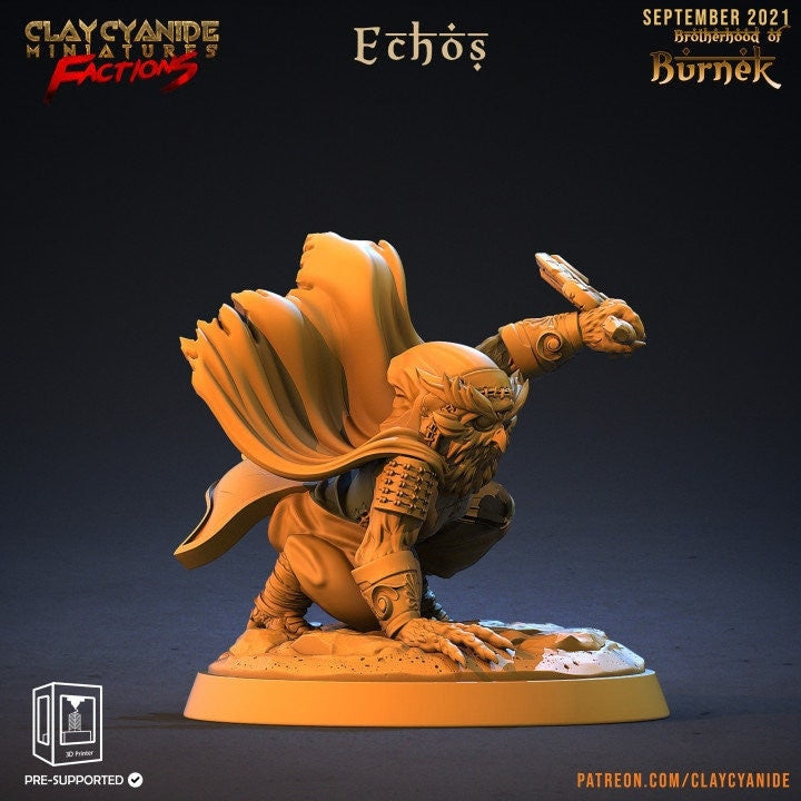 Owlfolk Rogue Assassin arakocra | 28mm, 32mm,75mm Scales | Resin Mini | Dungeons and Dragons | Figure for painting |Pathfinder |Clay Cyanide