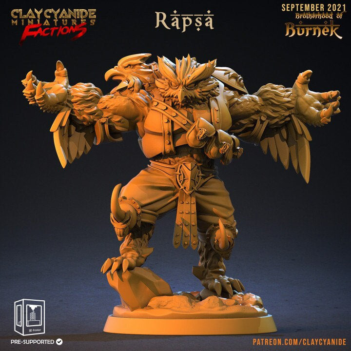 Owlfolk Druid Cleric | 28mm, 32mm,54mm, 75mm,100mm Scales | Resin | Dungeons and Dragons | Figure for painting |Pathfinder |Clay Cyanide