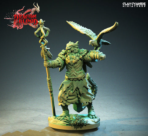 Dragonborn Druid, Wizard | 28mm, 32mm, 54mm,75mm, 100mm Scale Resin Miniature | Dungeons and Dragons | Pathfinder |