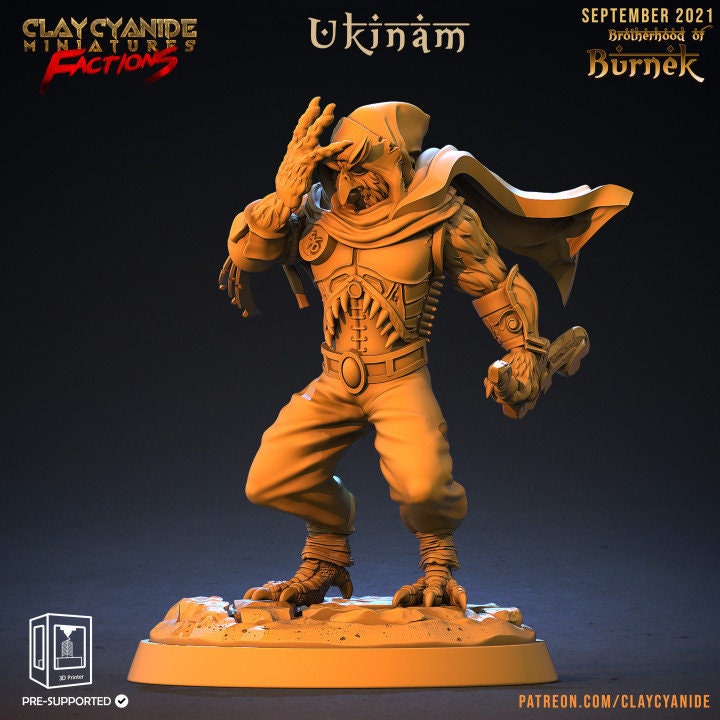 Owlfolk Fighter Ranger | 5 Sizes /Scales | Resin | Dungeons and Dragons | Figure for painting |Pathfinder