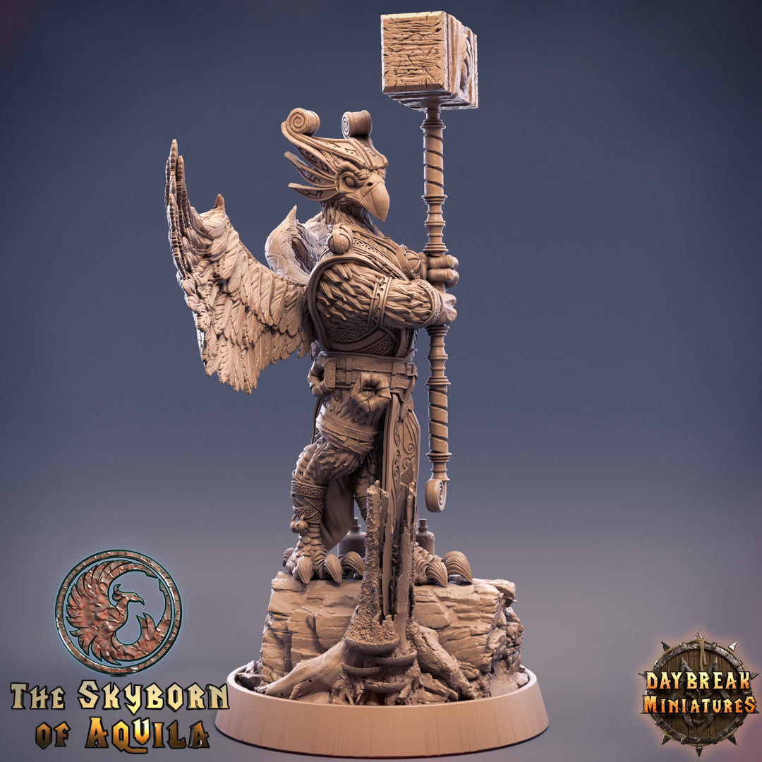 Aarakocra Cleric Paladin Fighter | 28mm, 32mm, 75mm Scale Resin Miniature | Dungeons and Dragons | Daybreak Miniatures