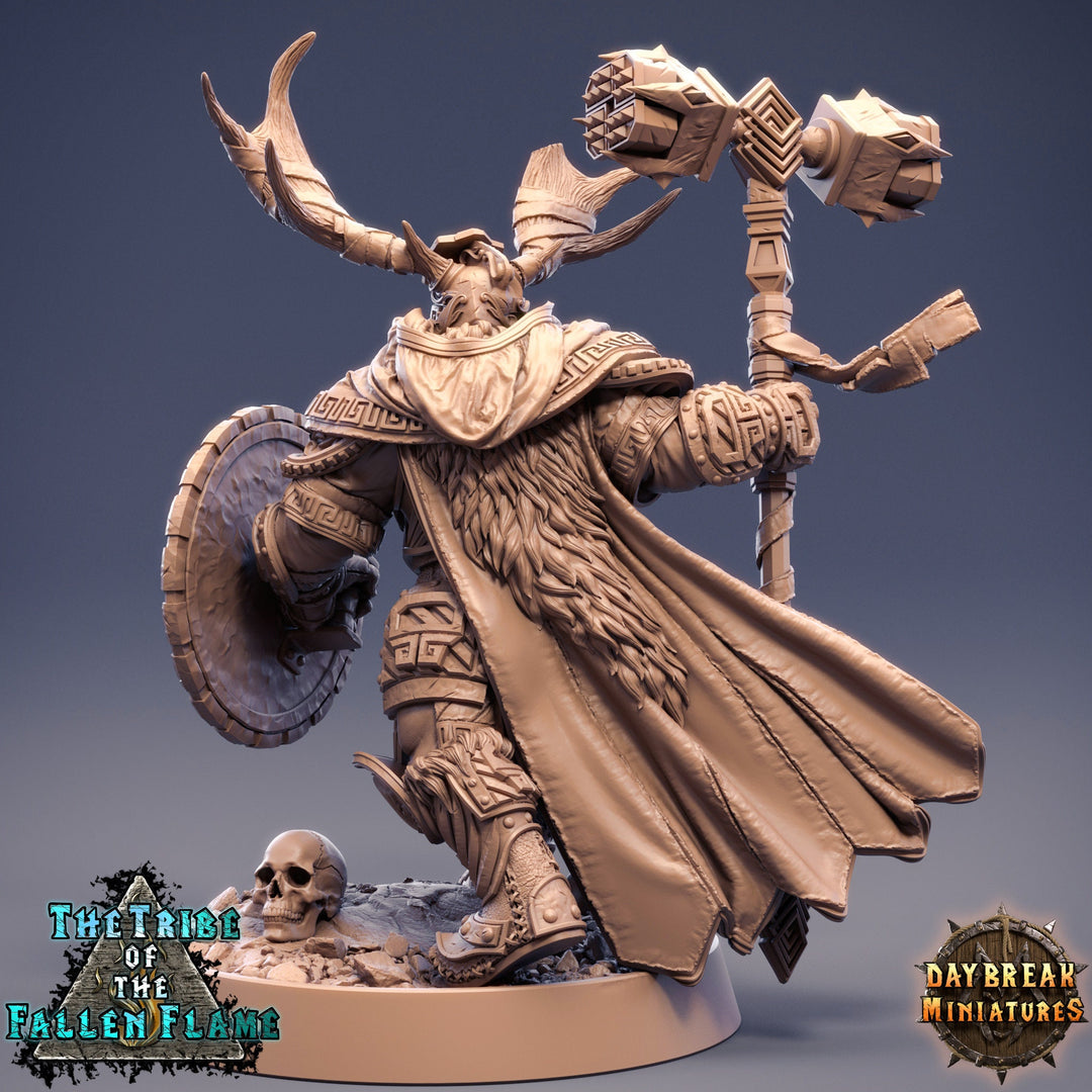Druid Cleric Player Character | NPC Shaman | 28mm, 32mm, 75mm Scale Resin Miniature D&amp;D 5e| Dungeons and Dragons | Daybreak Miniatures