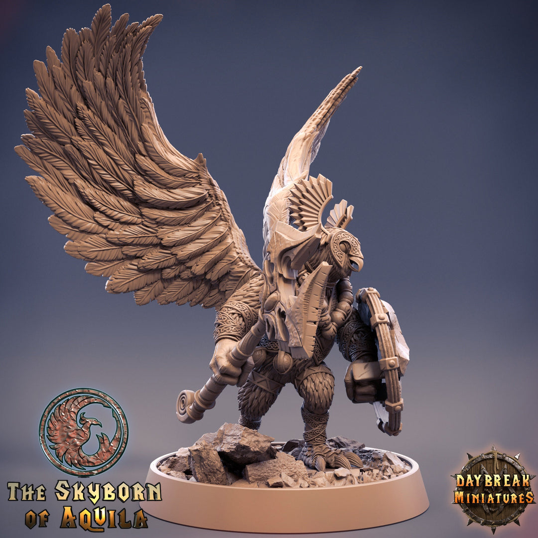 Aarakocra Owlfolk Fighter Ranger Paladin Cleric | 28mm, 32mm,75mm Scale Resin Miniature |Dungeons and Dragons |Daybreak Miniatures