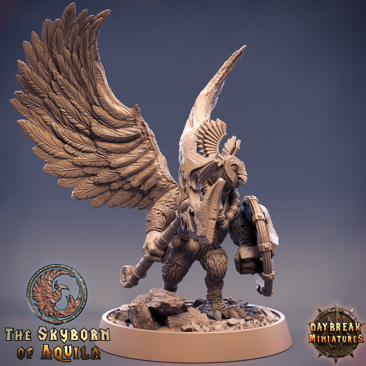 Aarakocra Owlfolk Fighter Ranger Paladin Cleric | 28mm, 32mm,75mm Scale Resin Miniature |Dungeons and Dragons |Daybreak Miniatures