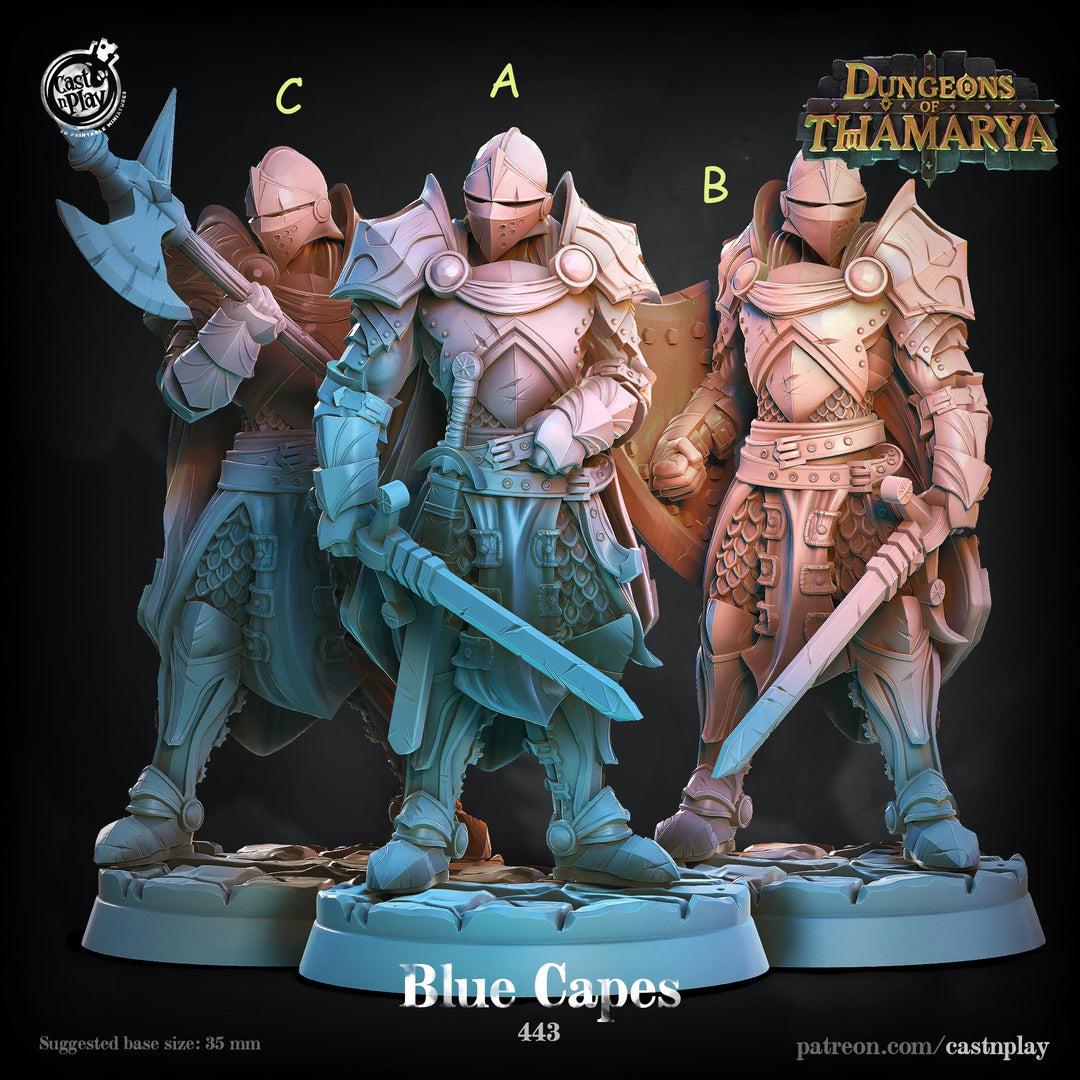 Paladins Fighters in Full Plate mail D&D 5e Miniatures | Dungeons n Dragons|28mm, 32mm, 54mm,75mm,100mm | Pathfinder | Unpainted | CastnPlay