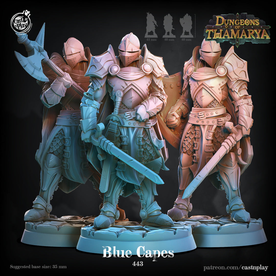 Paladins Fighters in Full Plate mail D&amp;D 5e Miniatures | Dungeons n Dragons|28mm, 32mm, 54mm,75mm,100mm | Pathfinder | Unpainted | CastnPlay