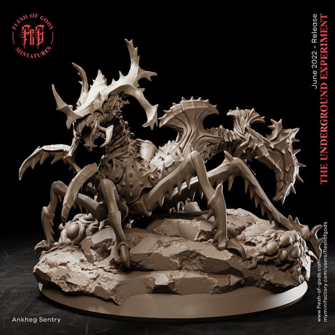 Ankheg Large Monstrosity | 28mm, 32mm, 50mm,75mm Scales - Monster Mini - Minis - D&D 5e - Pathfinder Figurine