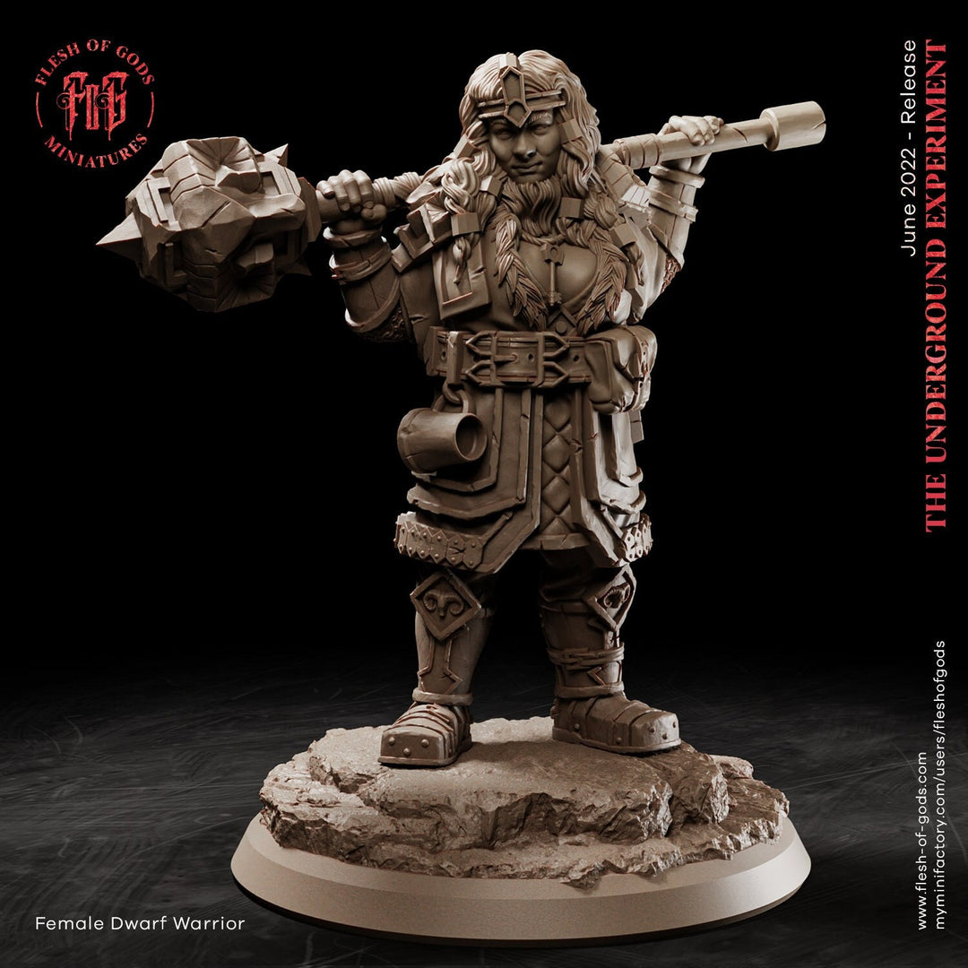 Dwarf Female Fighter Cleric | 28mm,32mm Scale ,50mm Tall | Dungeons and Dragons | Figurine mini - D&D 5e | Flesh of Gods