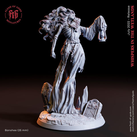 Undead Banshee | 28mm, 32mm,54mm, 75mm ,100mm Scale Resin Miniature | Flesh of Gods | Dungeons and Dragons |