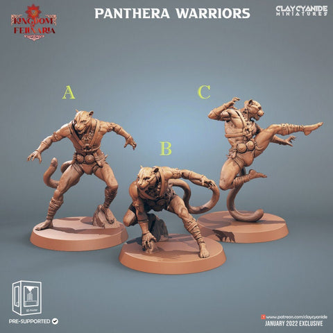 Tabaxi Monks (3 different models) | 28mm, 32mm,54mm,75mm, 100mm Scales | Resin Miniature | Dungeons and Dragons | Pathfinder |