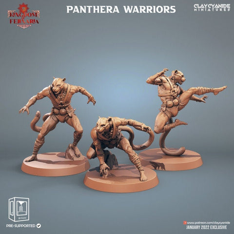 Tabaxi Monks (3 different models) | 28mm, 32mm,54mm,75mm, 100mm Scales | Resin Miniature | Dungeons and Dragons | Pathfinder |