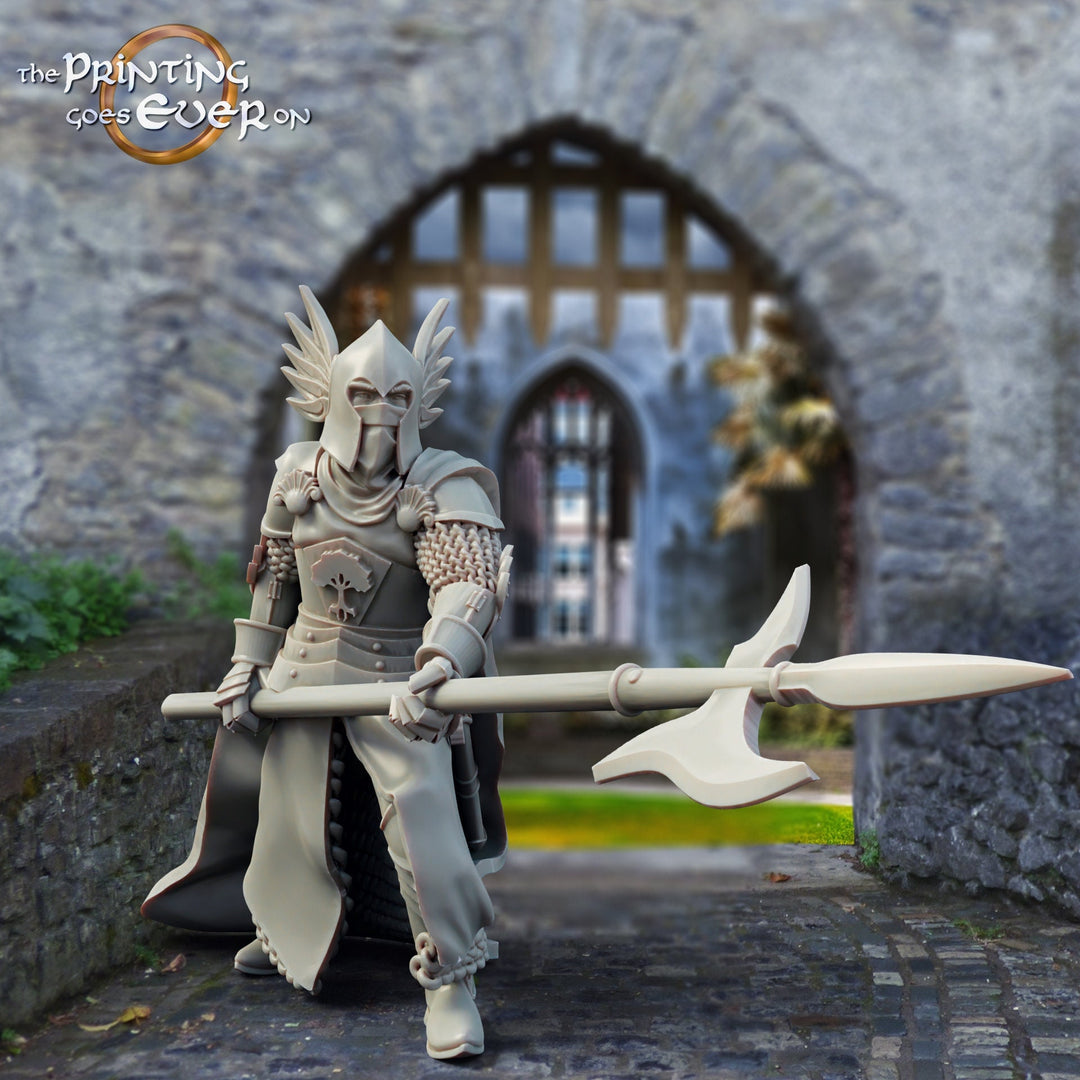 Human Paladin Knight Fighter with Polearm | 28mm, 32mm, 75mm Scales | Pathfinder Figure | DnD 5e | The Printing Goes Ever On | |