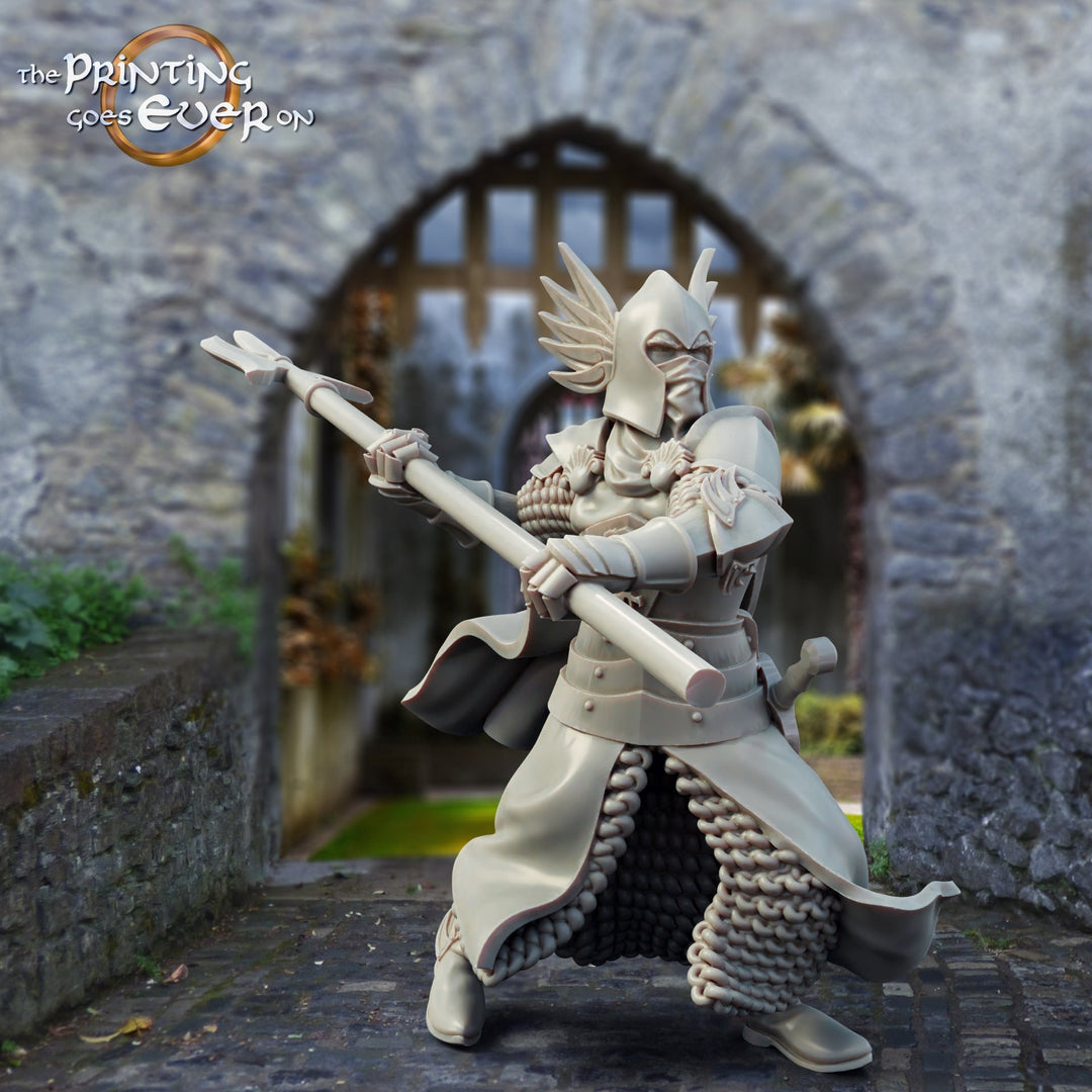 Human Paladin Knight Fighter with Polearm | 28mm, 32mm, 75mm Scales | Pathfinder Figure | DnD 5e | The Printing Goes Ever On | |