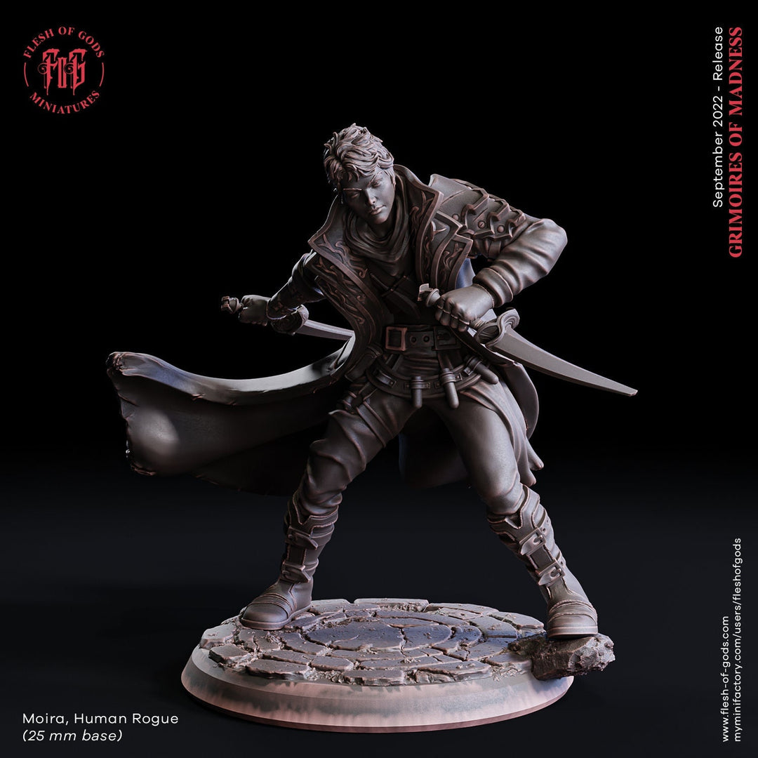 Human Rogue Thief Assassin | 28mm, 32mm, 75mm Scale Resin Miniature | Dungeons and Dragons | Flesh of Gods