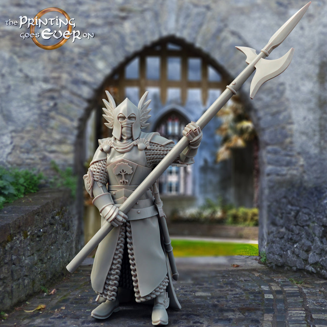 Human Paladin Knight Fighter with Polearm | 28mm, 32mm, 75mm Scales | Pathfinder Figure | DnD 5e | The Printing Goes Ever On | |