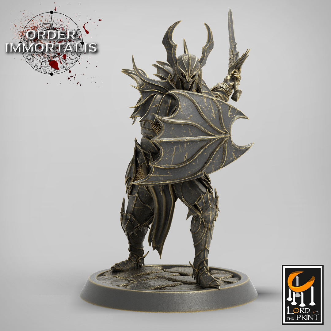 Fighter Sword and Shield, Oathbreaker Paladin, Unpainted Miniature | 28mm, 32mm,75mm Scales | Dungeons and Dragons | Pathfinder |