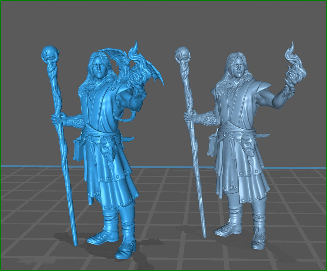 Male Elf Wizard Dragon Familiar, Warlock, Sorcerer|28mm|32mm |54mm|75mm,100mm Scale-Player Character Mini D&amp;D 5e Pathfinder Figurine
