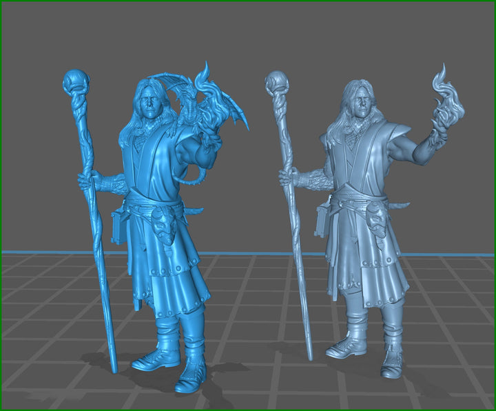 Male Elf Wizard Dragon Familiar, Warlock, Sorcerer|28mm|32mm |54mm|75mm,100mm Scale-Player Character Mini D&amp;D 5e Pathfinder Figurine
