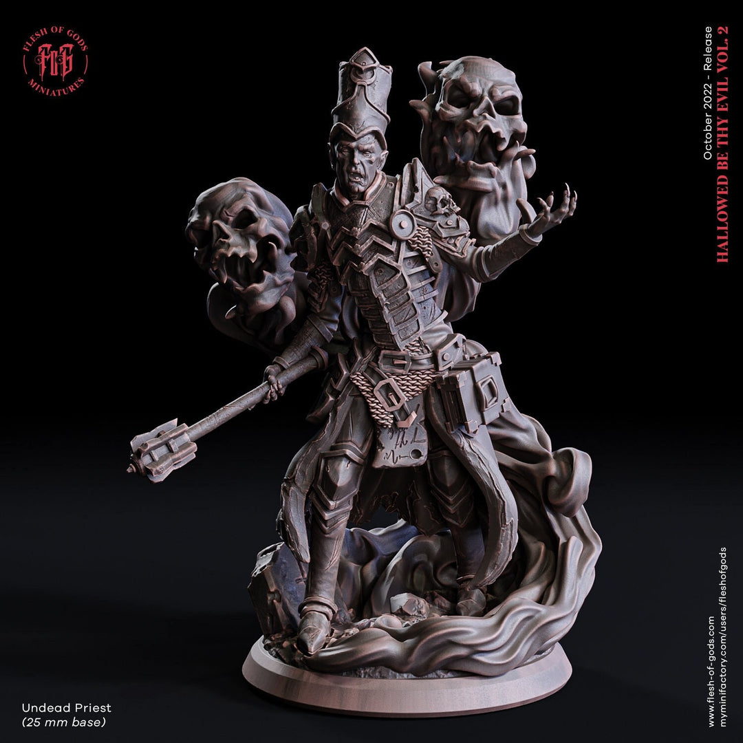 Dark Cleric Necromancer ,Warlock | 28mm Scale | 32mm Scale | 75mm Scale - Player Character Mini - Minis - D&amp;D 5e - Pathfinder Figurine