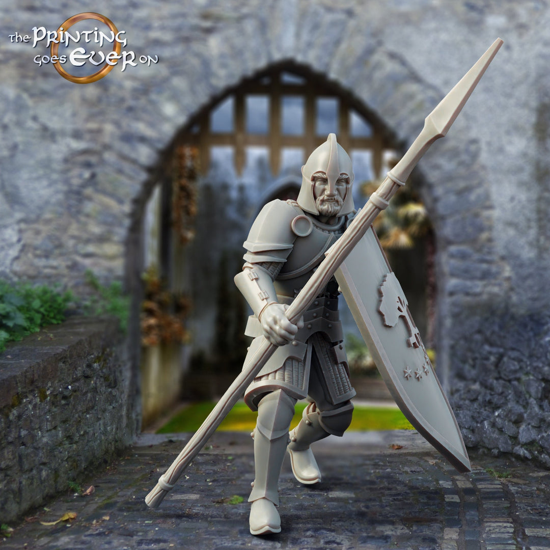 Fighter Soldier Spearman with shield | 28mm Scale | 32mm Scale | 75mm Scale Pathfinder Figure | DnD 5e | The Printing Goes Ever on|