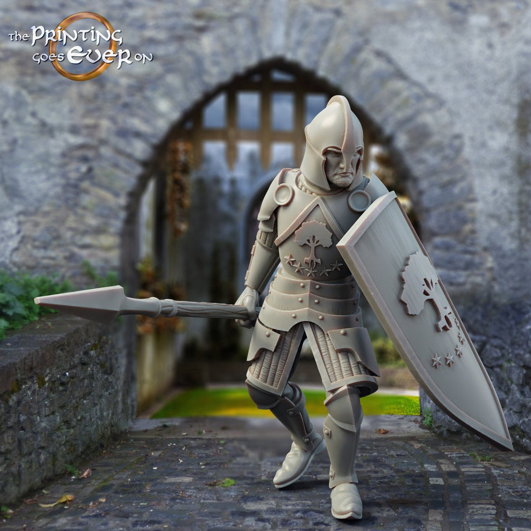 Fighter Soldier Spearman with shield | 28mm Scale | 32mm Scale | 75mm Scale Pathfinder Figure | DnD 5e | The Printing Goes Ever on|