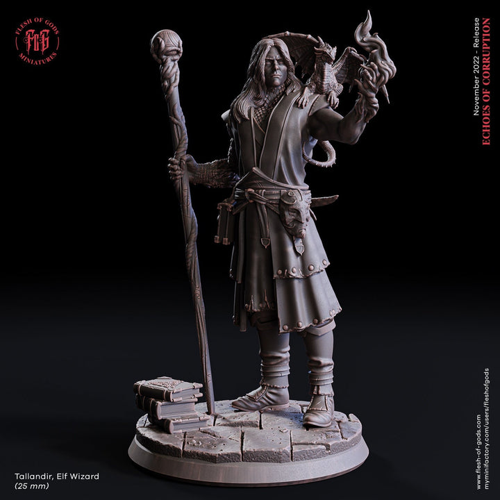 Male Elf Wizard Dragon Familiar, Warlock, Sorcerer|28mm|32mm |54mm|75mm,100mm Scale-Player Character Mini D&amp;D 5e Pathfinder Figurine
