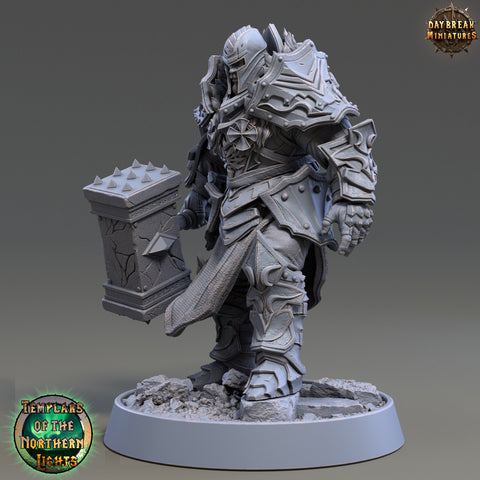Oath of Devotion Paladin Unpainted | 28mm, 32mm, 54mm, 75mm Scales | 100mm Tall | Dungeons and Dragons | Pathfinder | Daybreak Miniatures