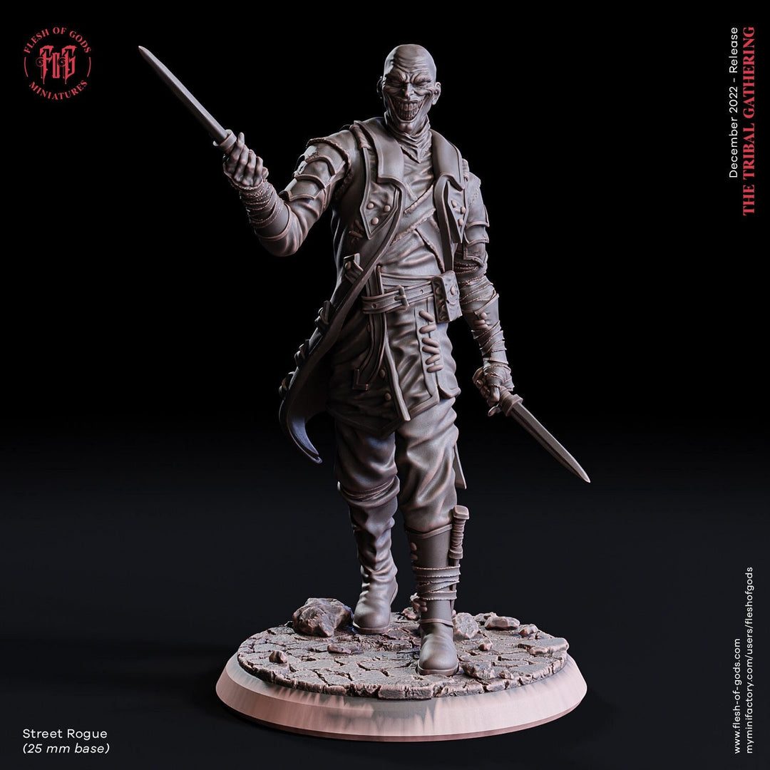 Human Rogue Thief Assassin PC / NPC | 28mm, 32mm,54mm, 75mm, 100mm Scale Resin Miniature | Dungeons and Dragons | Flesh of Gods