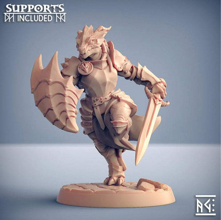 Dragonborn Paladin Fighter Sword &amp; Shield | 28mm, 32mm, 54mm, 75mm Scale Resin Miniature | Dungeons and Dragons 5E | Pathfinder |