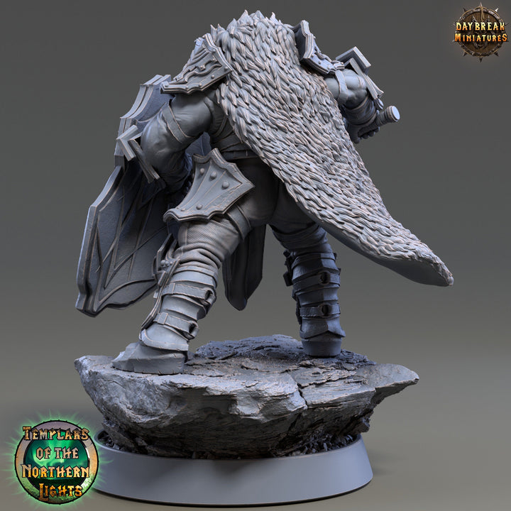 Oath of Devotion Paladin, Cleric | 28mm, 32mm, 54mm, 75mm Scales | 100mm Tall | Dungeons and Dragons | Pathfinder | Daybreak Miniatures