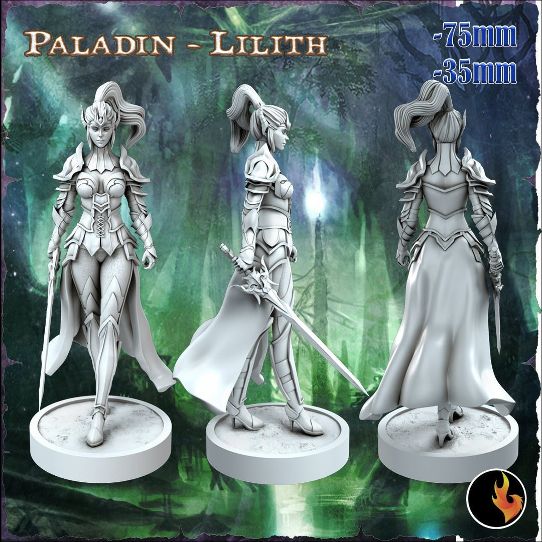 Female Elf Paladin Fighter Sexy Pinup | 28mm, 32mm, 75mm Scale | Dungeons and Dragons 5e Miniatures | DnD Mini |
