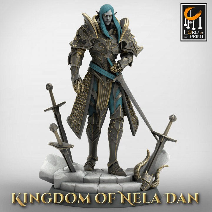 High Elf Lord Paladin, Moon Elf, Eladrin Unpainted Miniature | 28mm, 32mm,54mm,75mm, 100mm Scales | Dungeons and Dragons | Pathfinder |