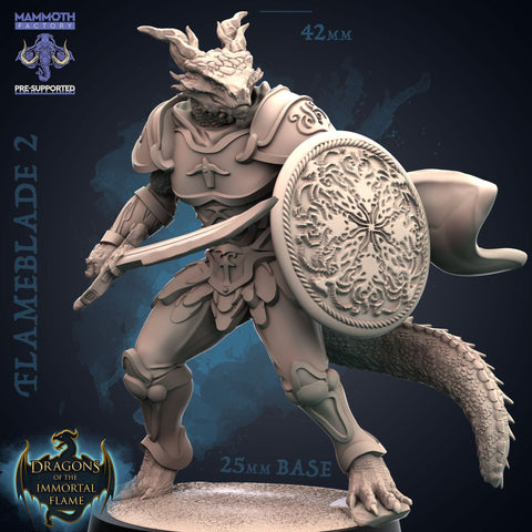 Dragonborn Paladin Sword and Shield | 28mm, 32mm, 75mm Scale Resin Miniature | Dungeons and Dragons D&D 5e | Pathfinder | Flesh of Gods