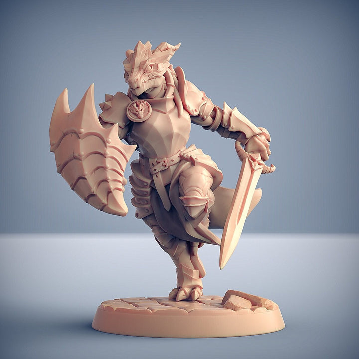 Dragonborn Paladin Fighter Sword &amp; Shield | 28mm, 32mm, 54mm, 75mm Scale Resin Miniature | Dungeons and Dragons 5E | Pathfinder |