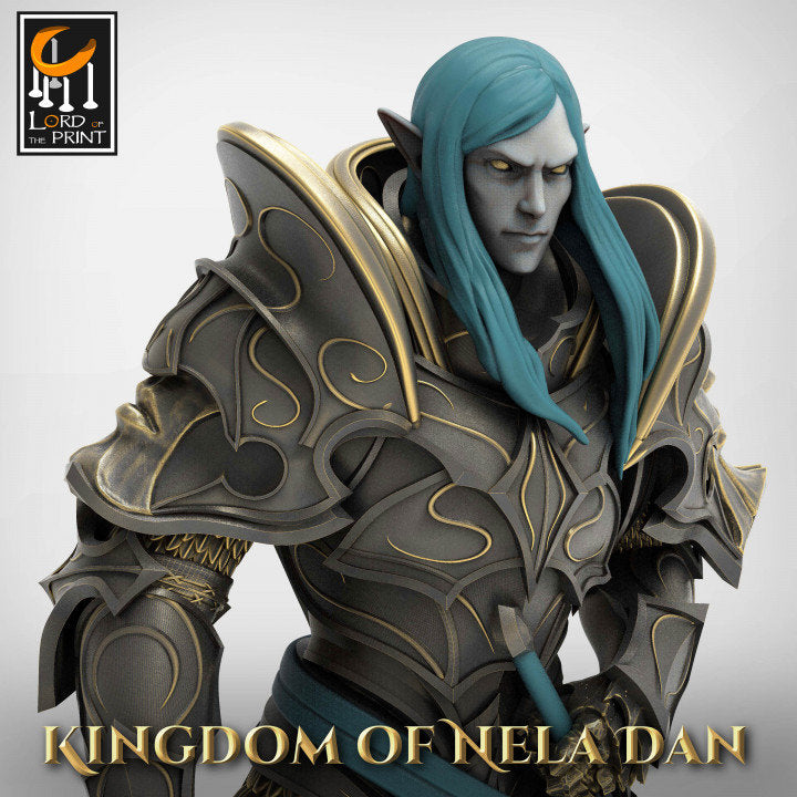High Elf Lord Paladin, Moon Elf, Eladrin Unpainted Miniature | 28mm, 32mm,54mm,75mm, 100mm Scales | Dungeons and Dragons | Pathfinder |