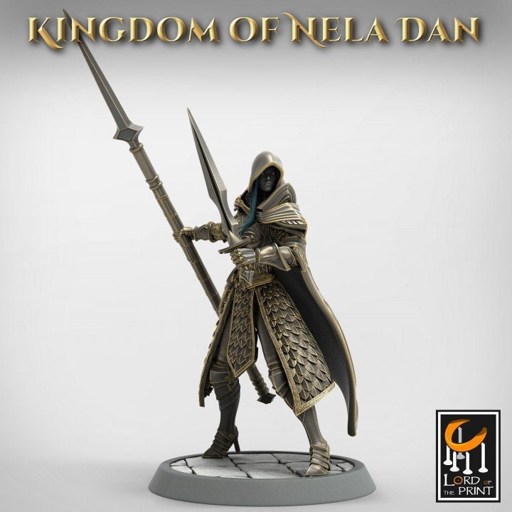 High Elf Ranger Fighter Spear and Sword , Moon Elf, Eladrin Unpainted | 28mm, 32mm,54mm,75mm Scales | Dungeons and Dragons | Pathfinder |