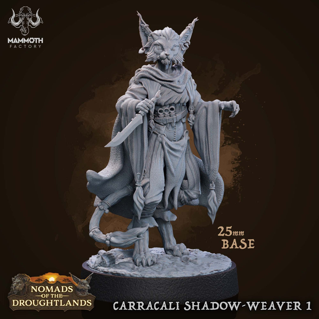 Tabaxi ,Rogue, Swashbuckler, Fighter, - Werepanther, Werecat, Catfolk | 28mm, 32mm,54mm, 75mm, 100mm Scale | D and D Pathfinder |