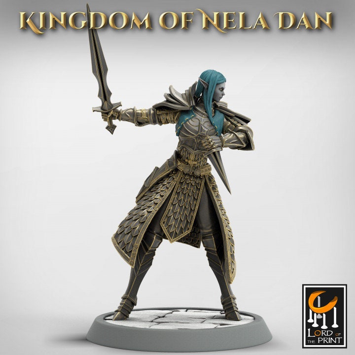 High Elf Ranger Fighter Sword and Dagger, Moon Elf, Eladrin Unpainted | 28mm, 32mm,54mm,75mm Scales | Dungeons and Dragons | Pathfinder |