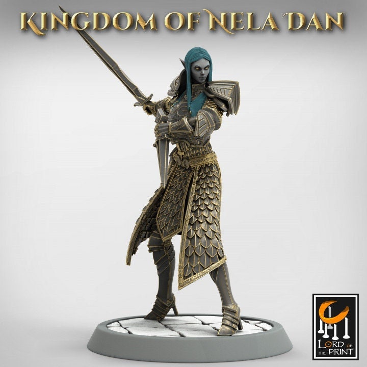 High Elf Ranger Fighter Sword and Dagger, Moon Elf, Eladrin Unpainted | 28mm, 32mm,54mm,75mm Scales | Dungeons and Dragons | Pathfinder |